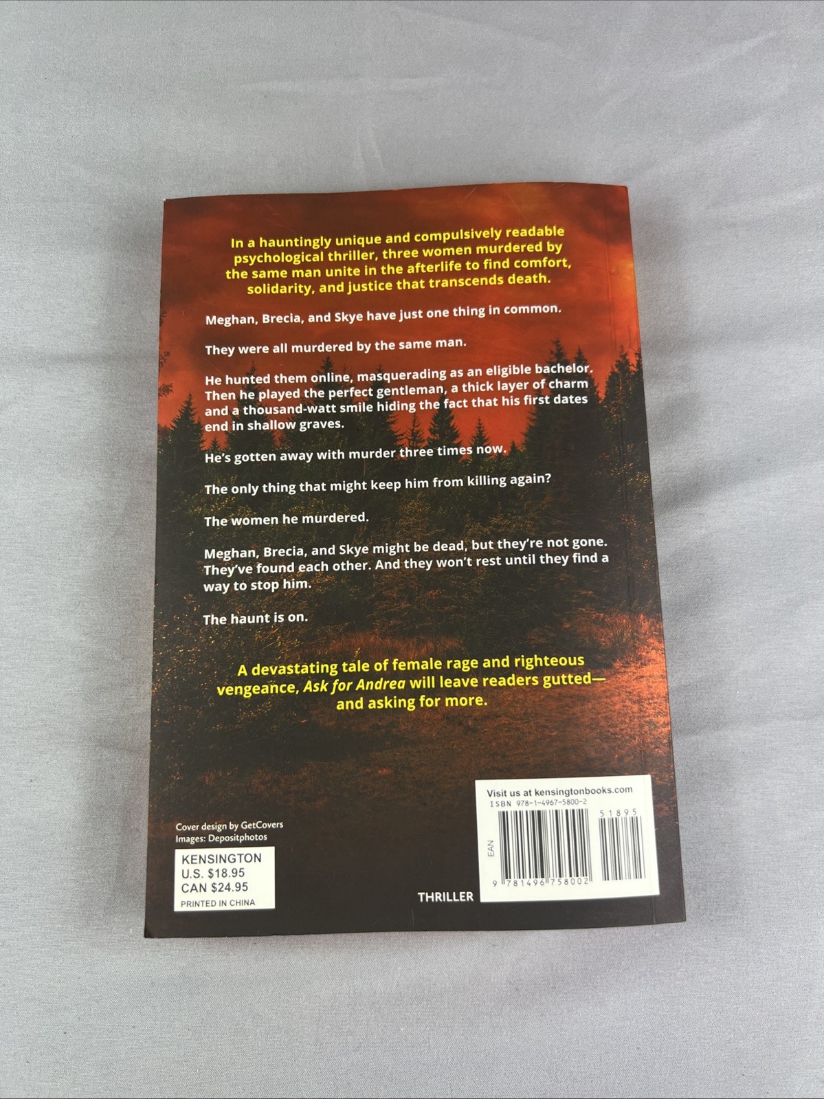Ask for Andrea: Deluxe Stenciled Edges by Noelle West Ihli 2025 Paperback