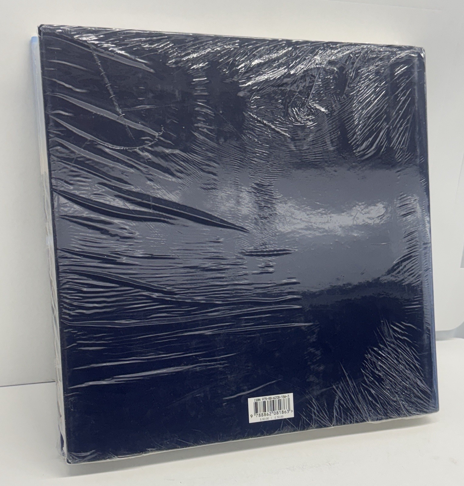 NEW James Casebere: Works 1975-2010 by James Casebere (2011, Hardcover)