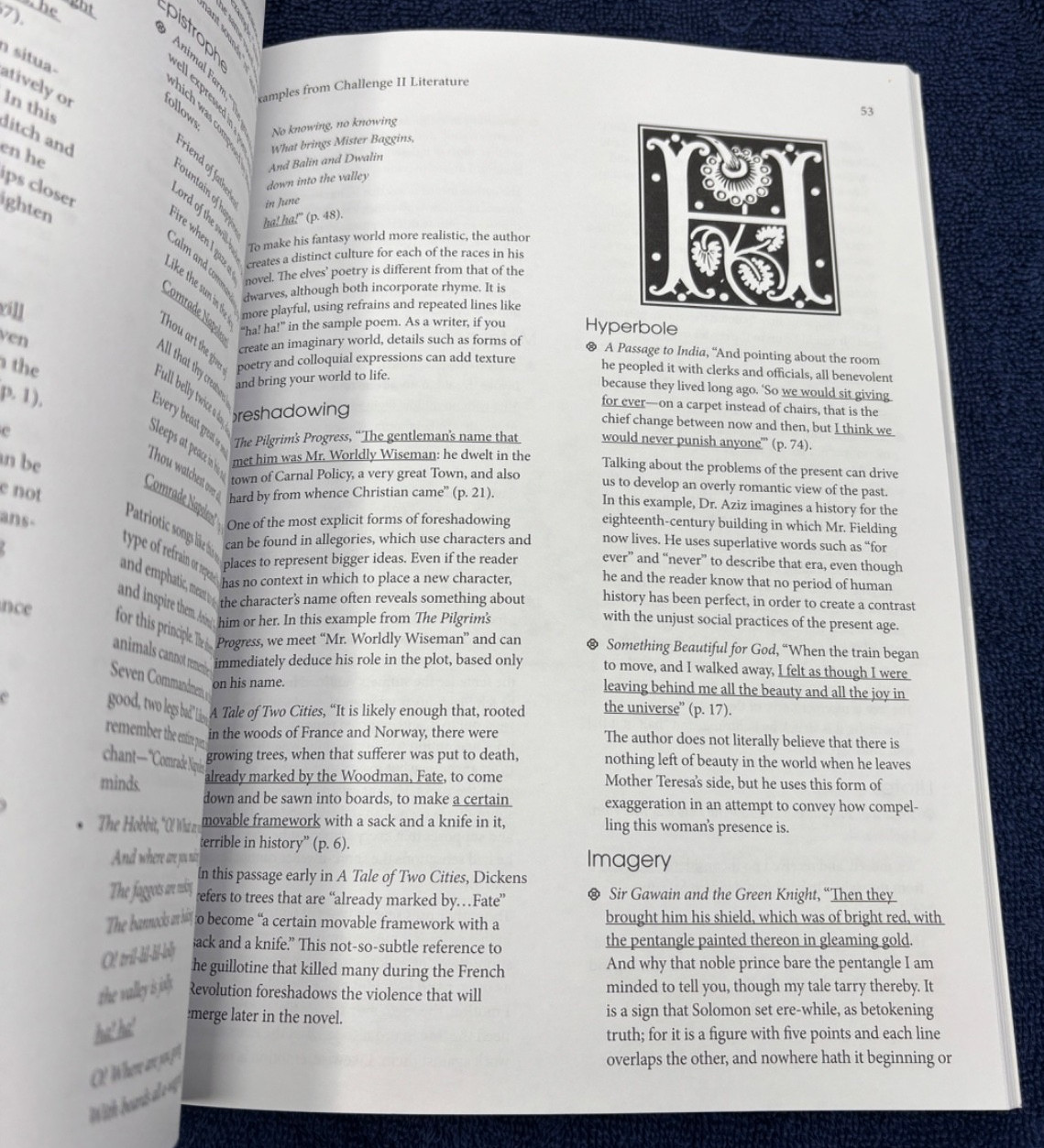 Wakeful Words : Classical Rhetorical Techniques in Literature Paperback