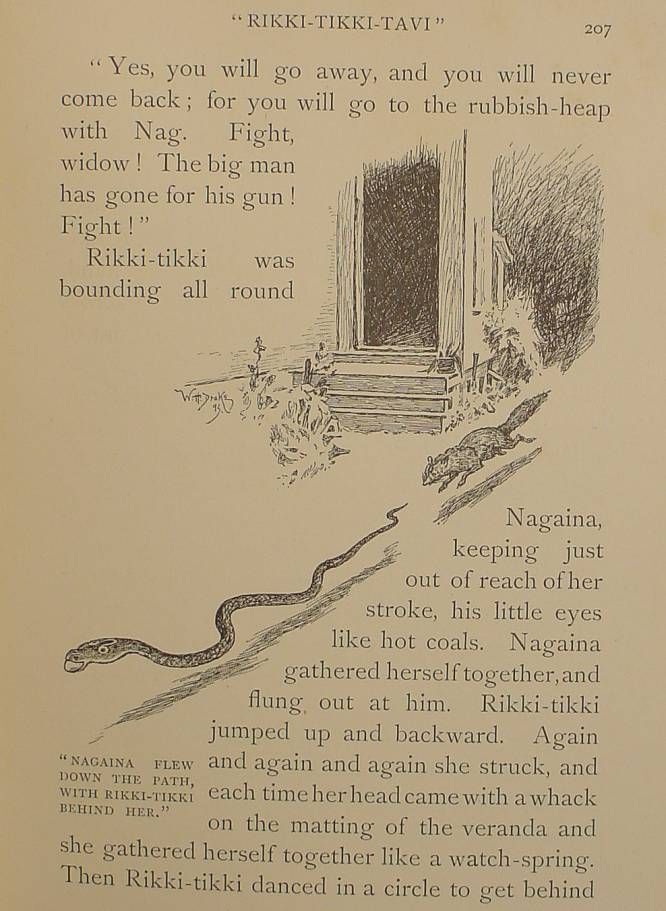 1894 Rare THE JUNGLE BOOK Antique FIRST EDITION Rudyard Kipling 3RD PRINTING