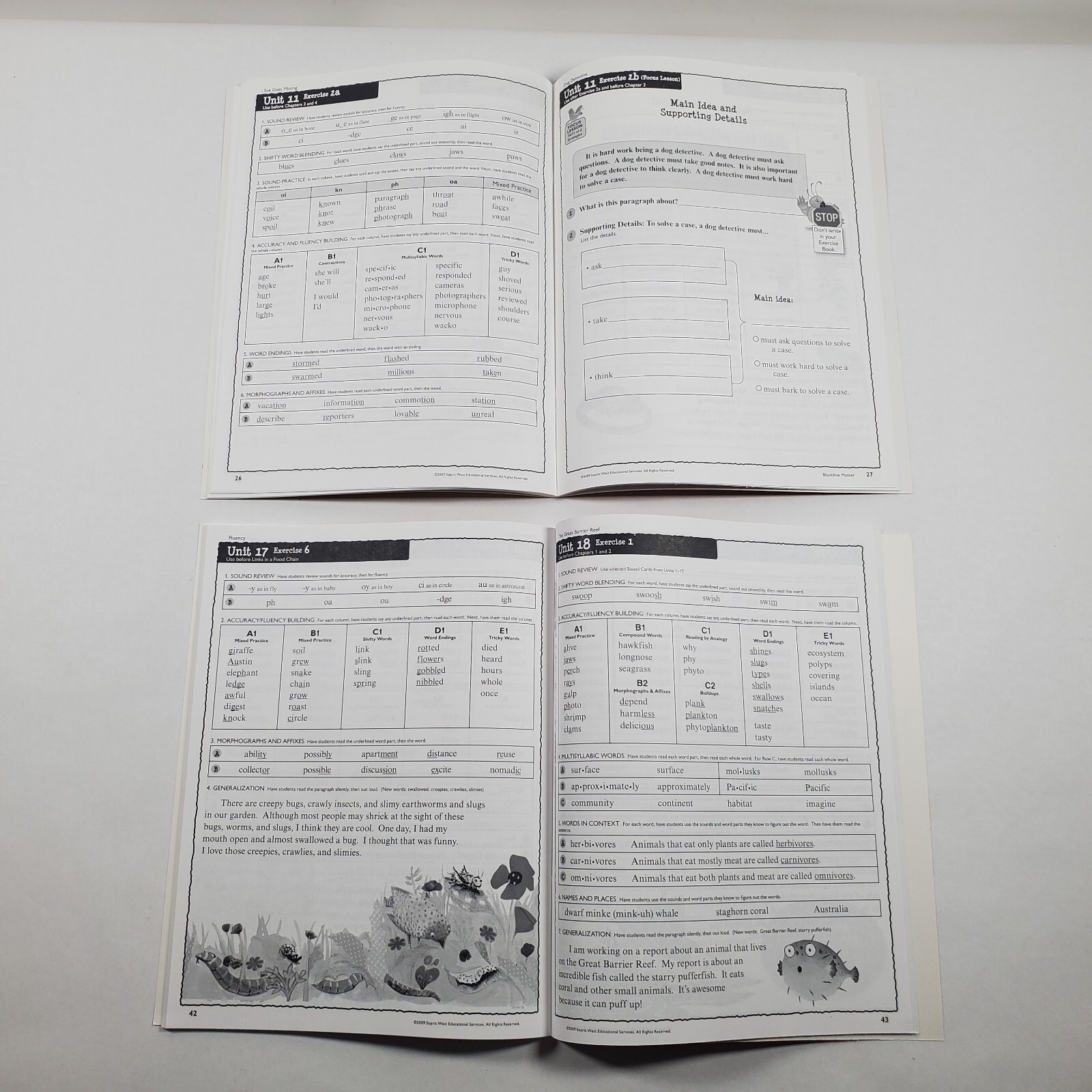 Read Well Level 2 Exercise Books 1-3 Sopris West Voyager Cambium Homeschool