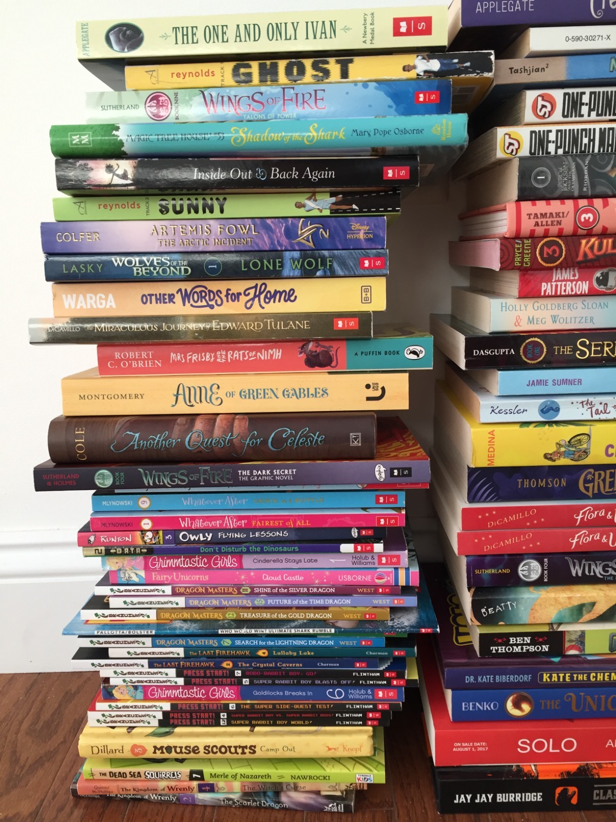 LIKE NEW 30 CHAPTER CHILDREN TEENS RANDOM BOOKS LOT MIX INSTANT LIBRARY 6 -12