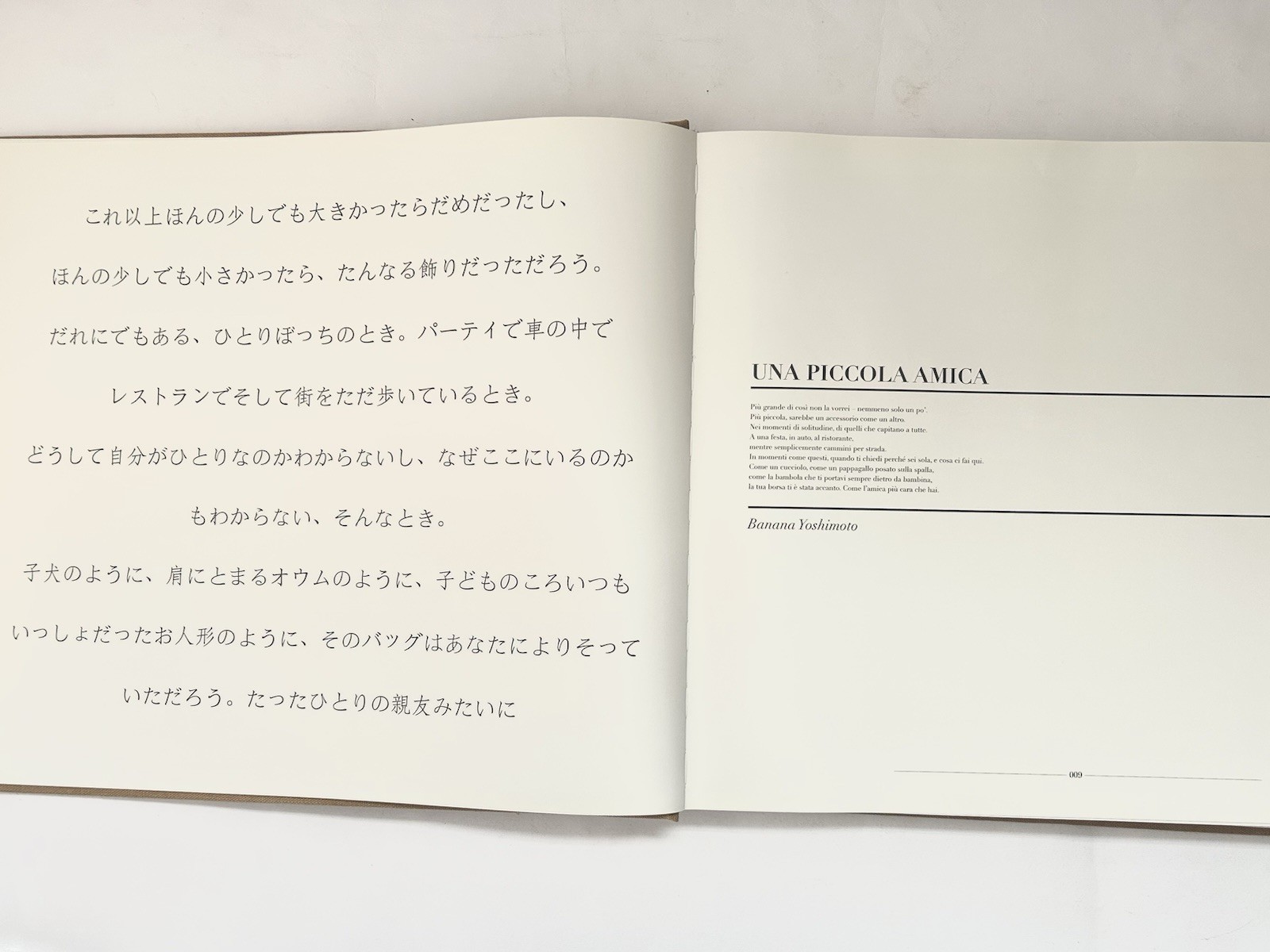 Fendi Baguette Book Libro Rizzoli First Edition 2012 Out of Print Rare