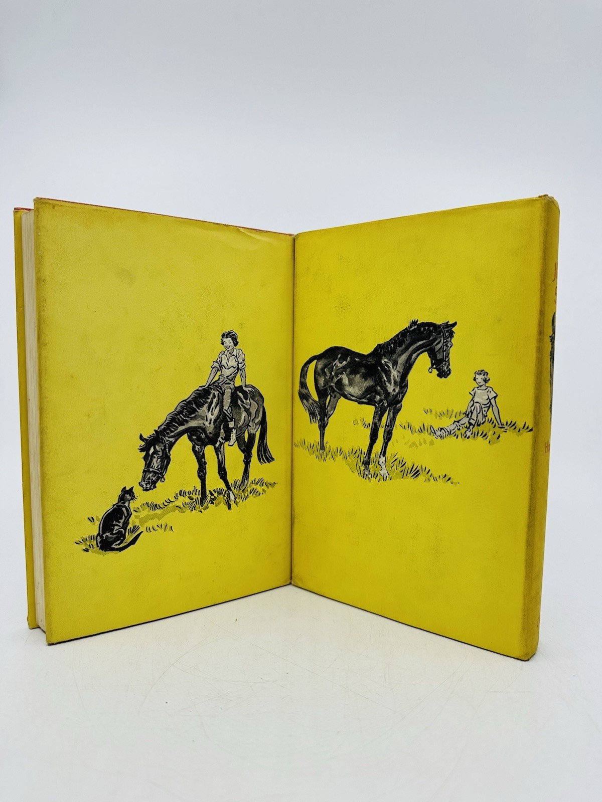 Joan Houston 2 Book Lot Set First Edition Printing Paul Brown Horse Show Riding