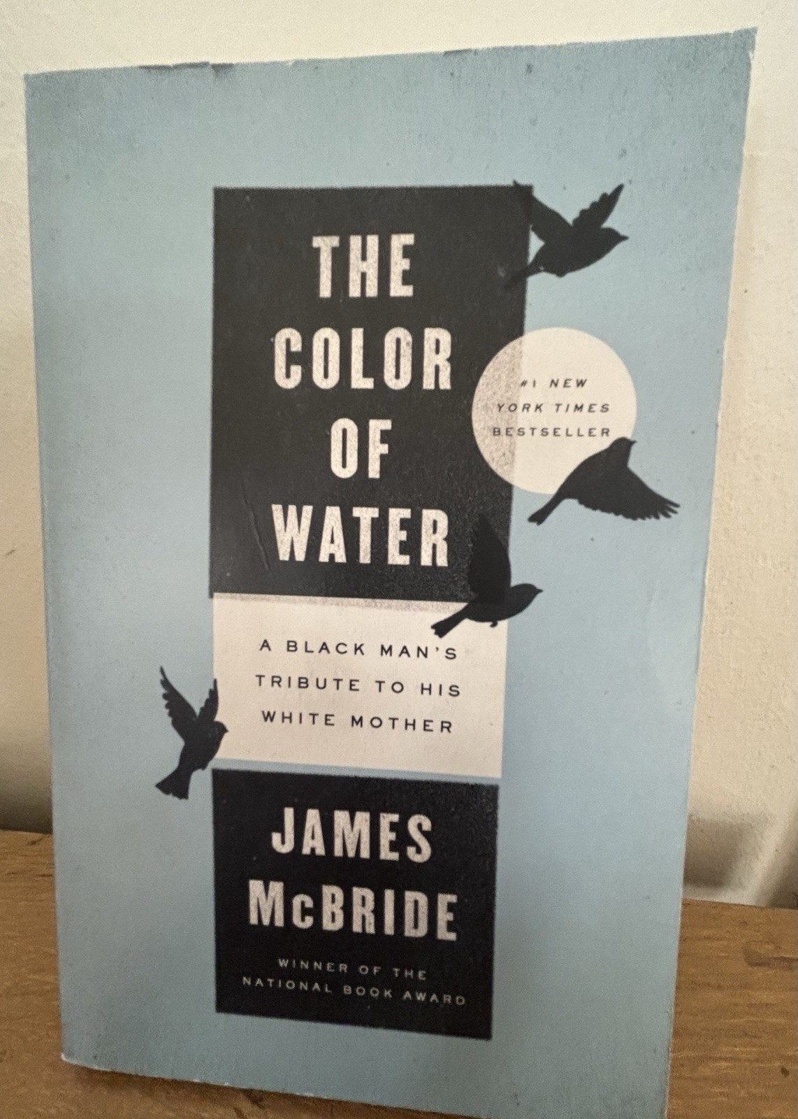 The Color of Water : by James McBride (Trade Paperback)