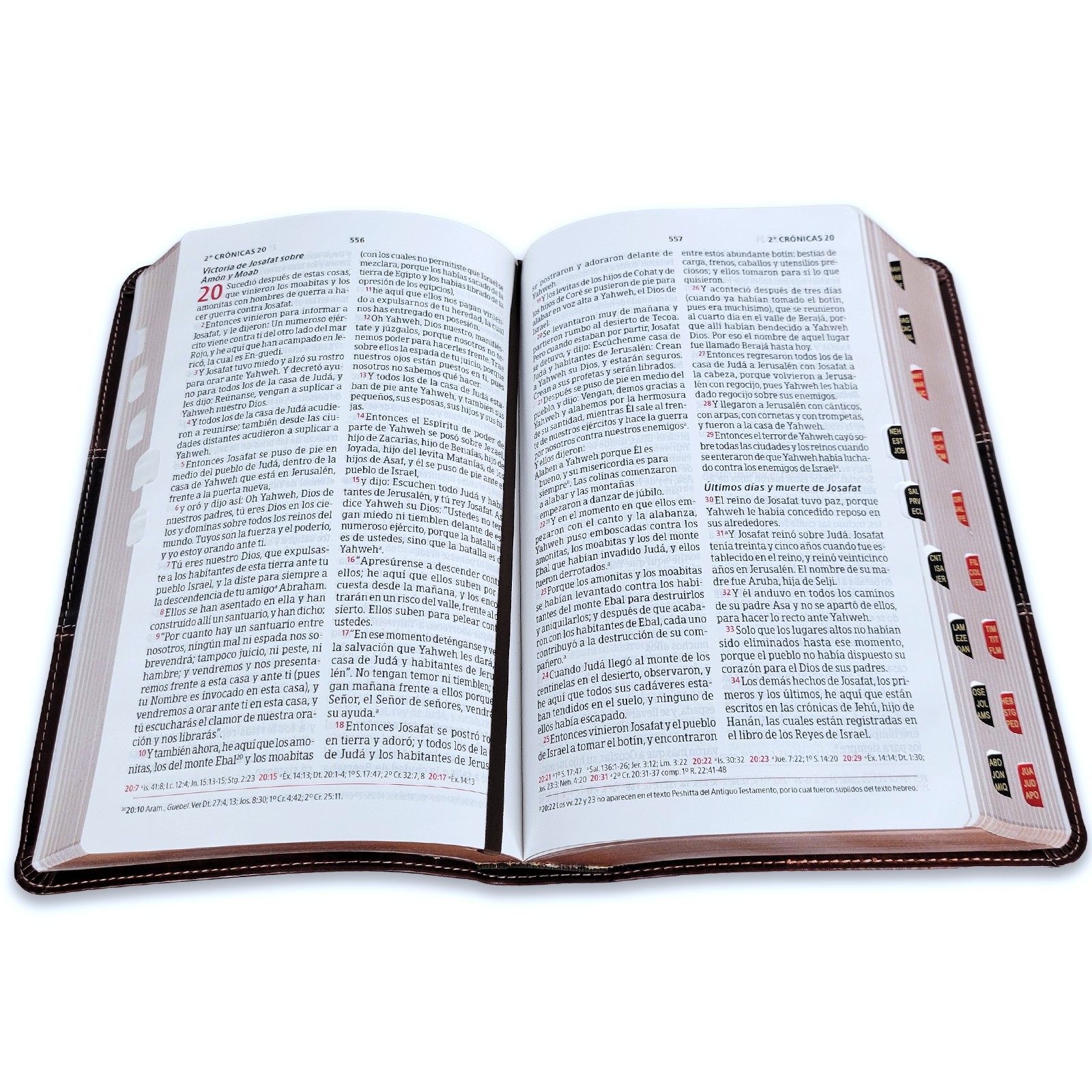 Biblia Peshitta del Araemo de los antiguos manuscritos caoba con indice