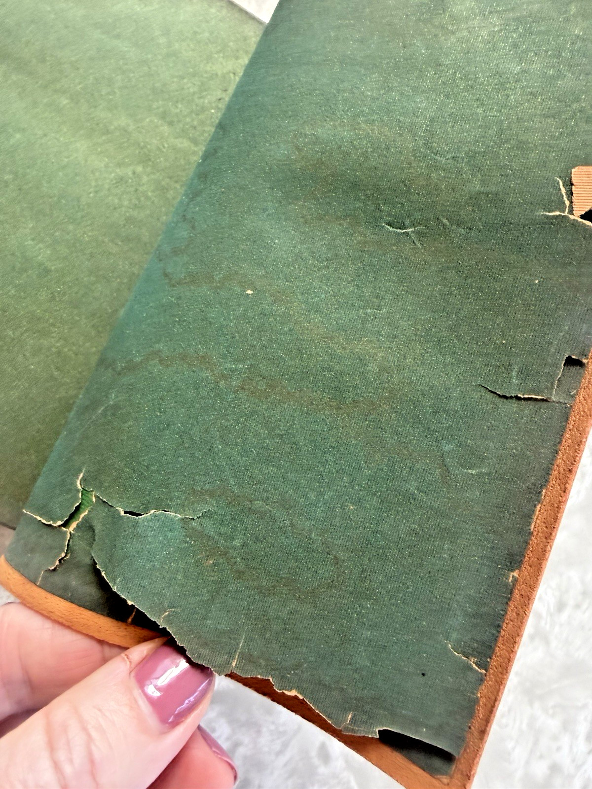 RARE Sesame and Lilies by John Ruskin Leatherbound Gilt Cover Dodge Publishing