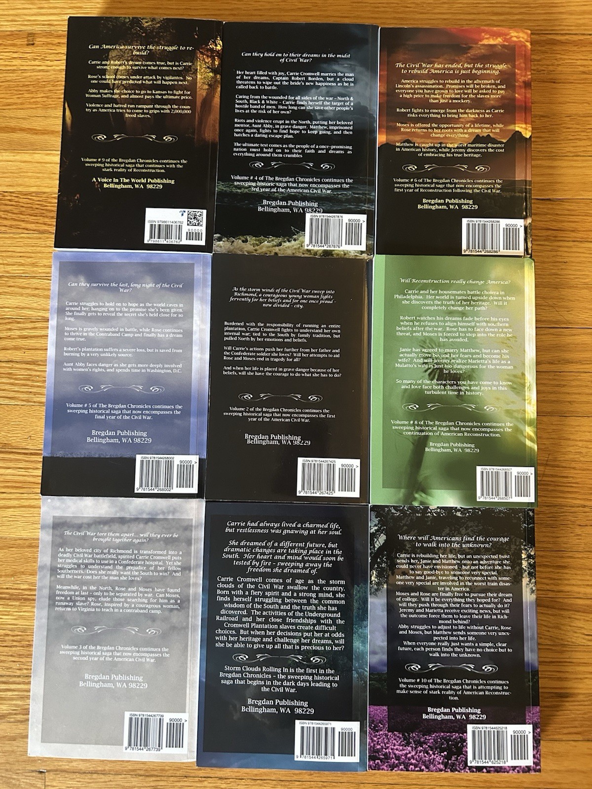 BIG Lot Of 9 The BREGDAN CHRONICLES Ginny Dye Books In Good Condition- 1-6, 8-10