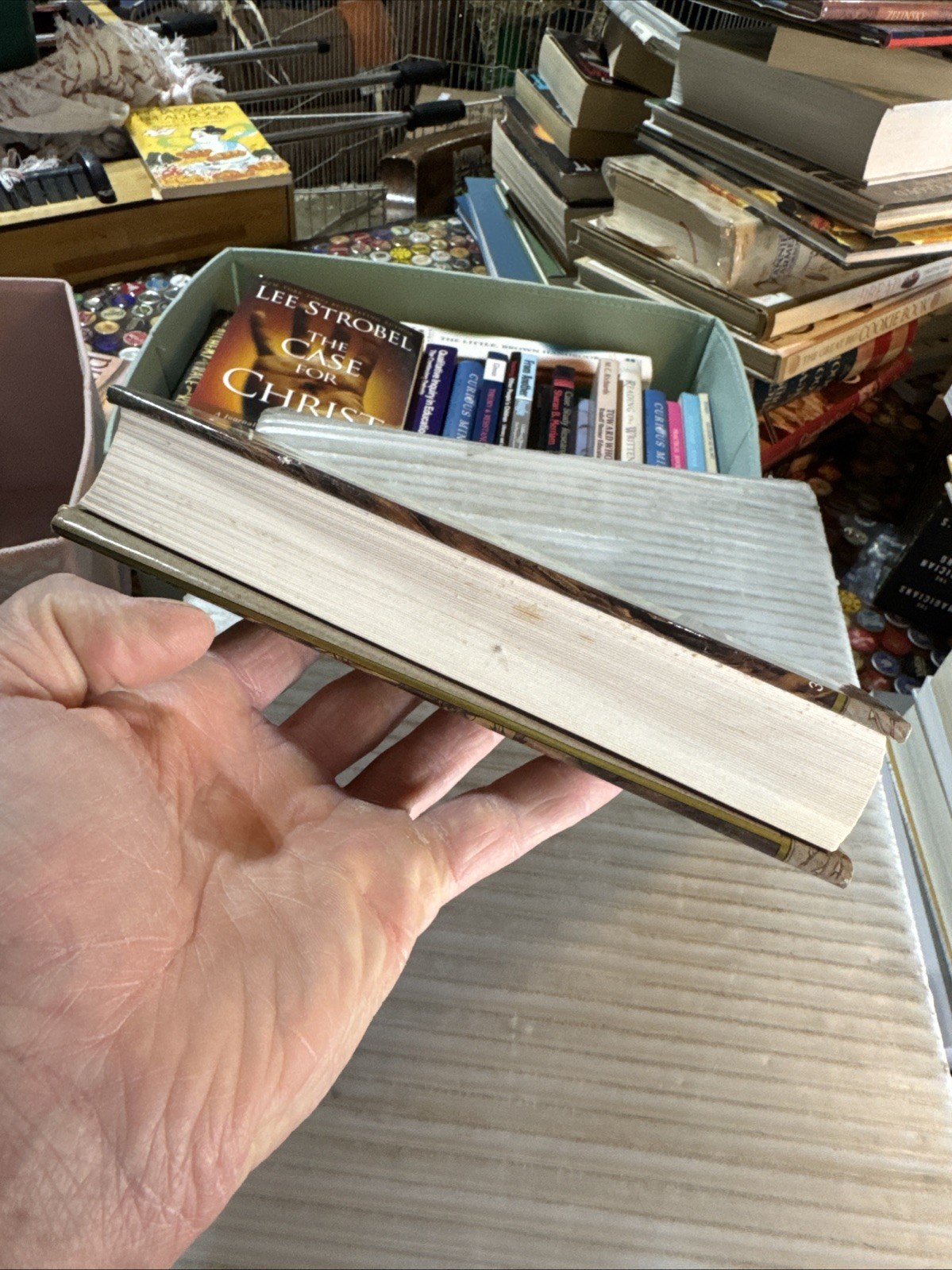 Black Thorn, White Rose (1st Ed/1st Printing) – Adult Fairy Tale Anthology