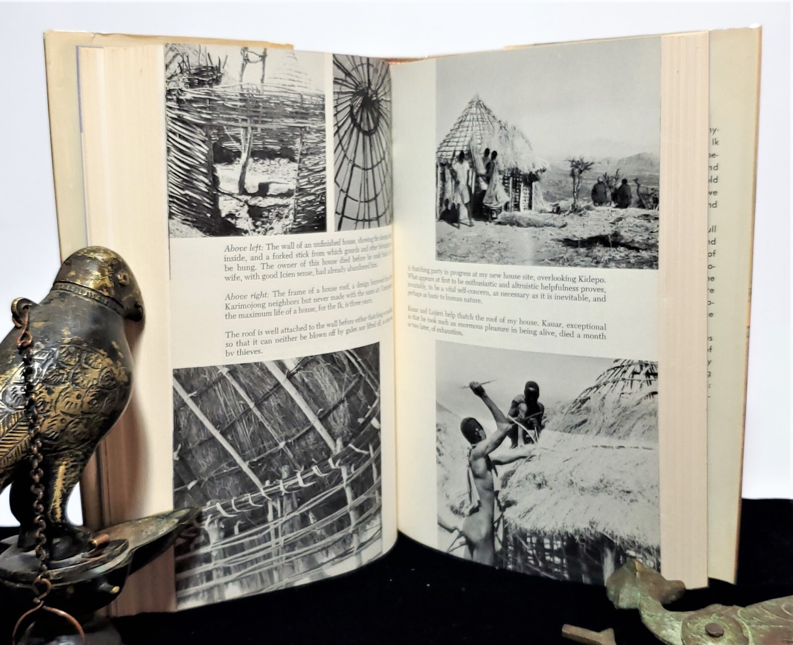 The Mountain People Colin M Turnbull 1972 SIGNED First Edition/Printing HC/DJ