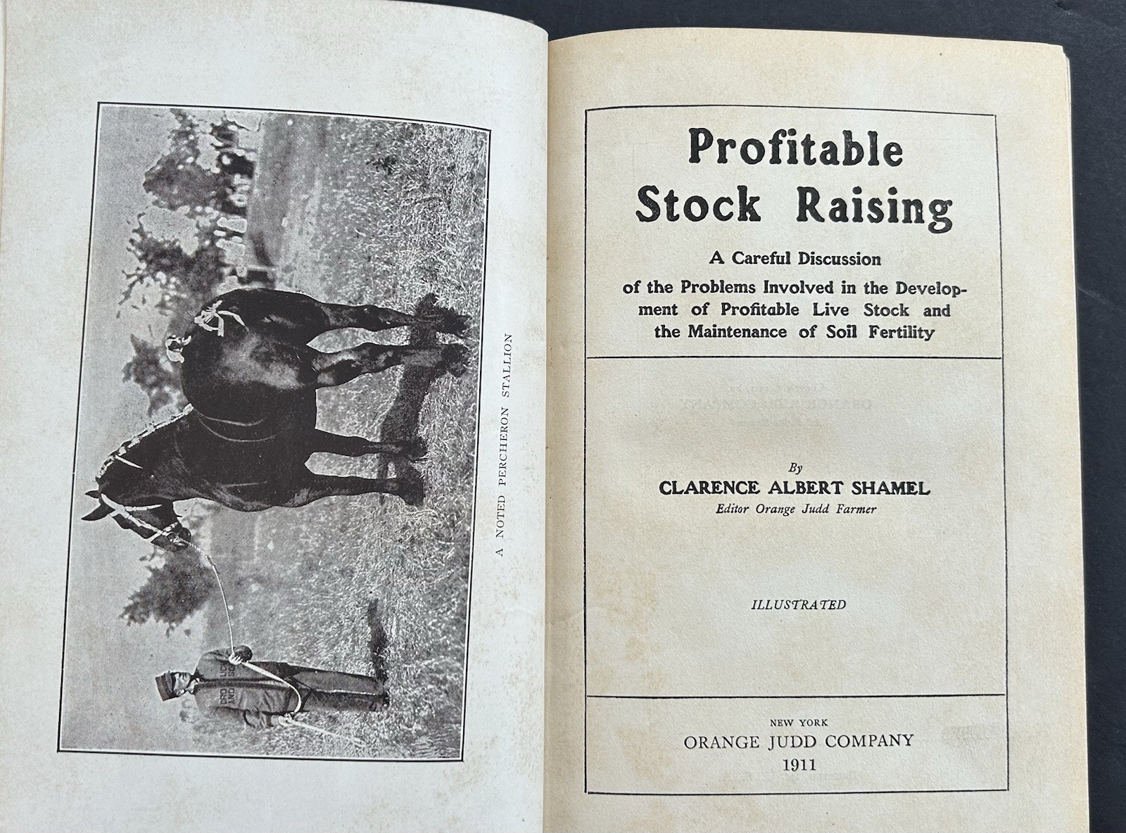 1911 Profitable Stock Raising by Clarence A Shamel Farm Life Series HB Illust