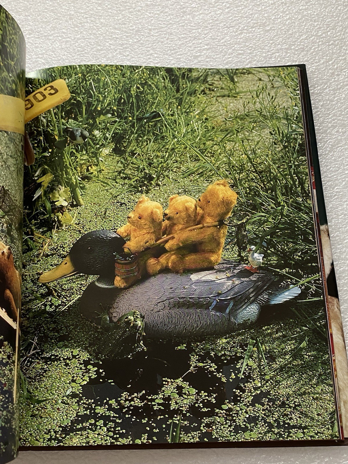 Teddy’s World Large Book by Joost Elffers and Mirja de Vries (2002 Hardcover)