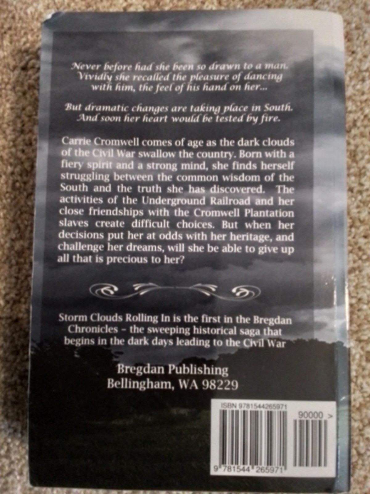 Storm Clouds Rolling In by Ginny Dye (2015, Trade Paperback, Bregdan Chronicles)