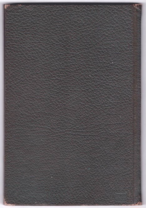 THE BRICK SALESMAN Ralph Stoddard 1928 hc 102 pages; Technical Information, etc