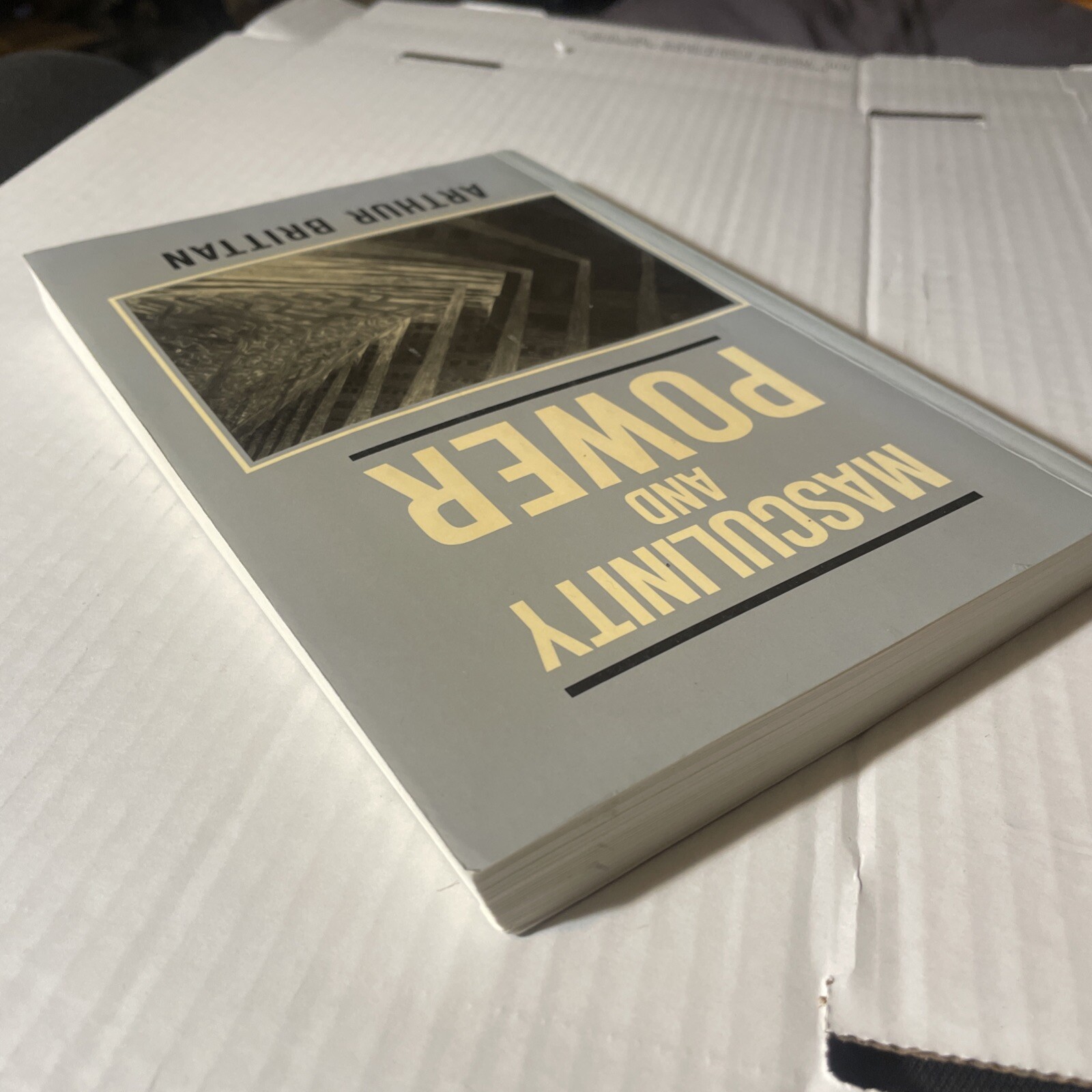 Masculinity and Power By Arthur Brittan