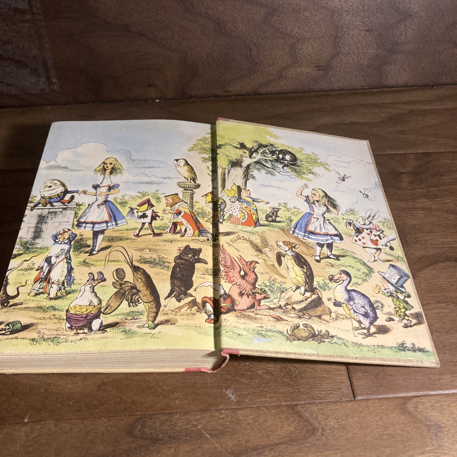 Alice in Wonderland & Through The Looking Glass Illustrated 1946 HC Book Carroll