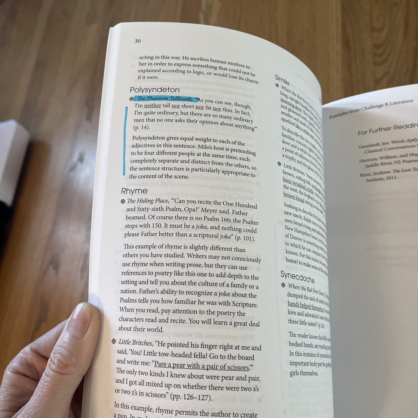 Wakeful Words : Classical Rhetorical Techniques in Literature by Classical…