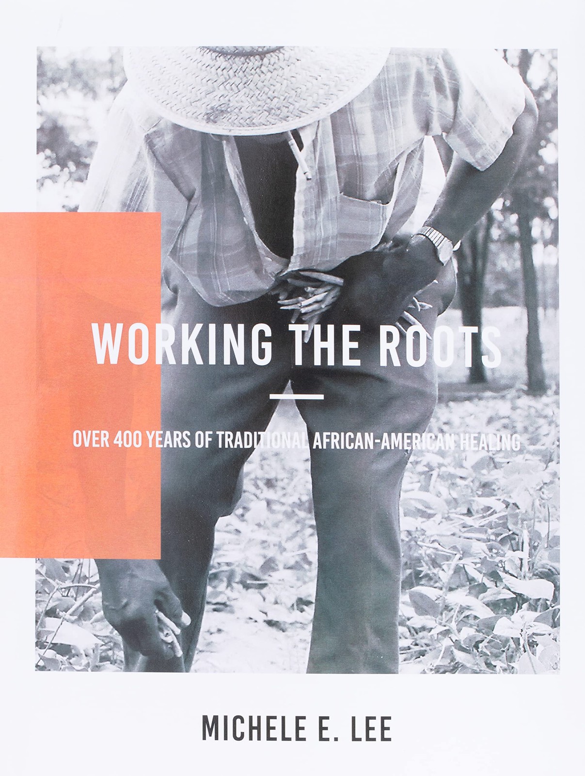 Working The Roots: Over 400 Years of Traditional African American by Lee