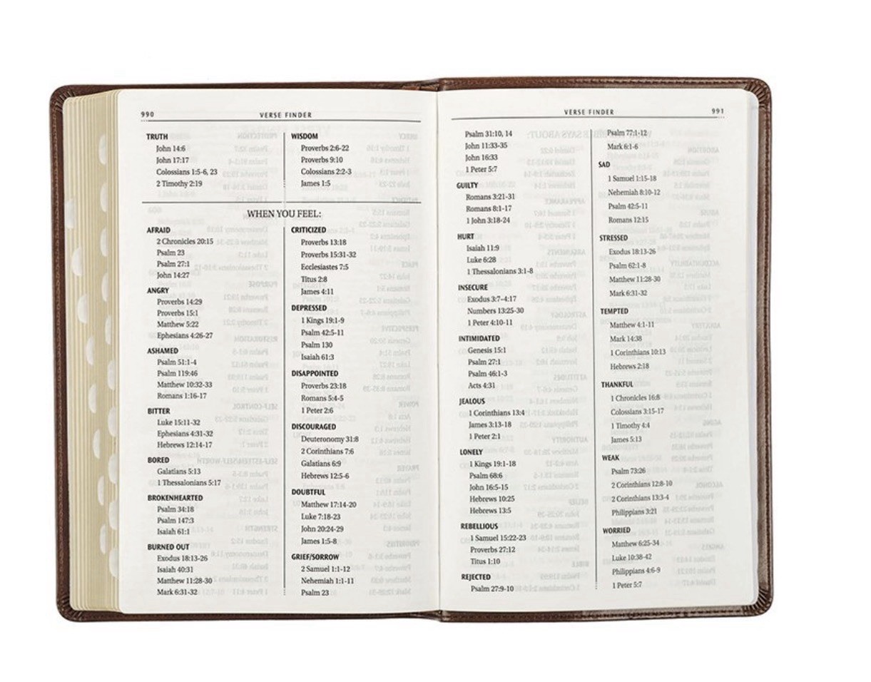 Brand New!! KJV King James Version Deluxe Gift Bible Holy Bible Brown