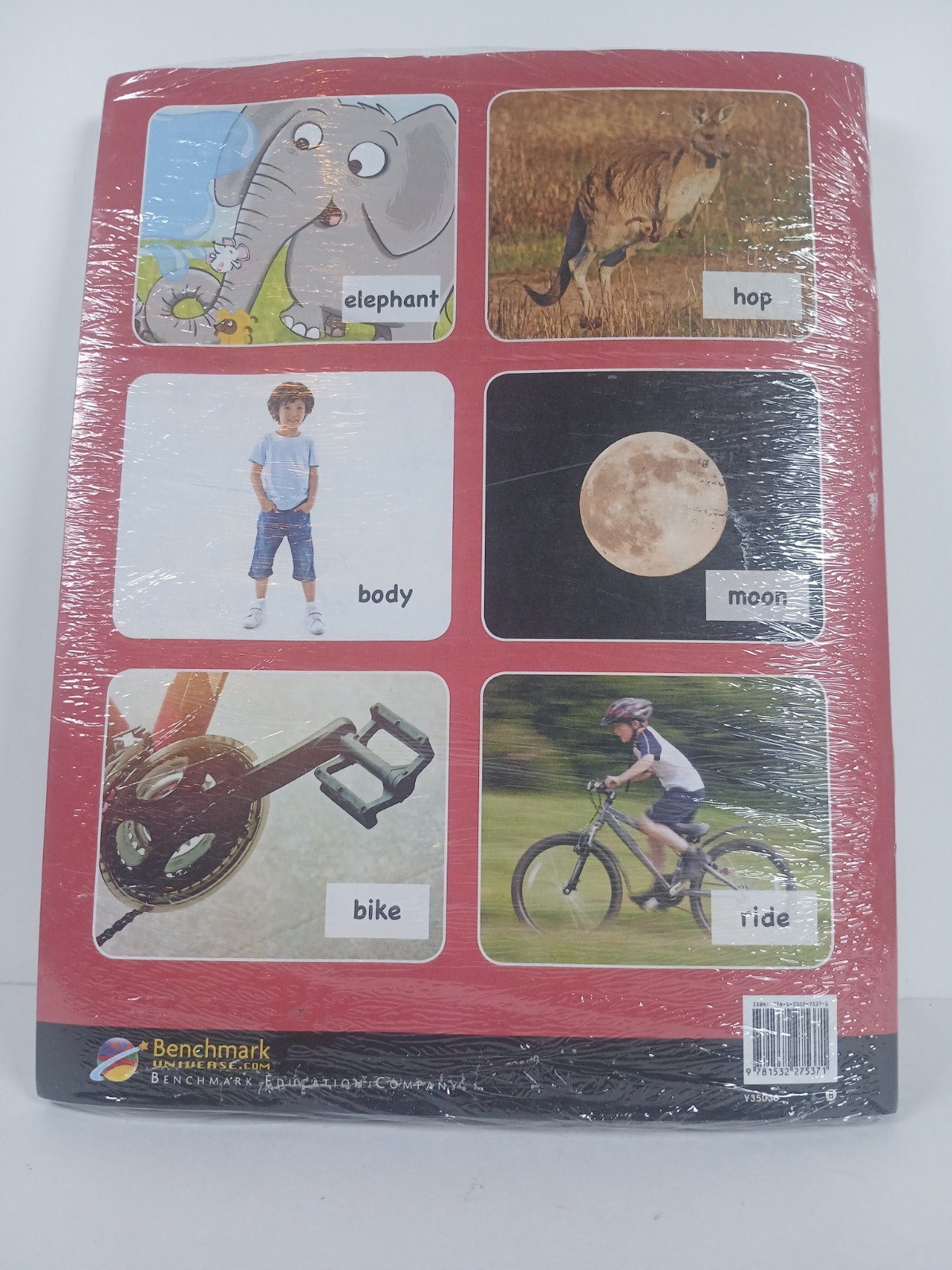 My Reading And Writing Units 1 – 10 – Benchmark Education – For Beginners