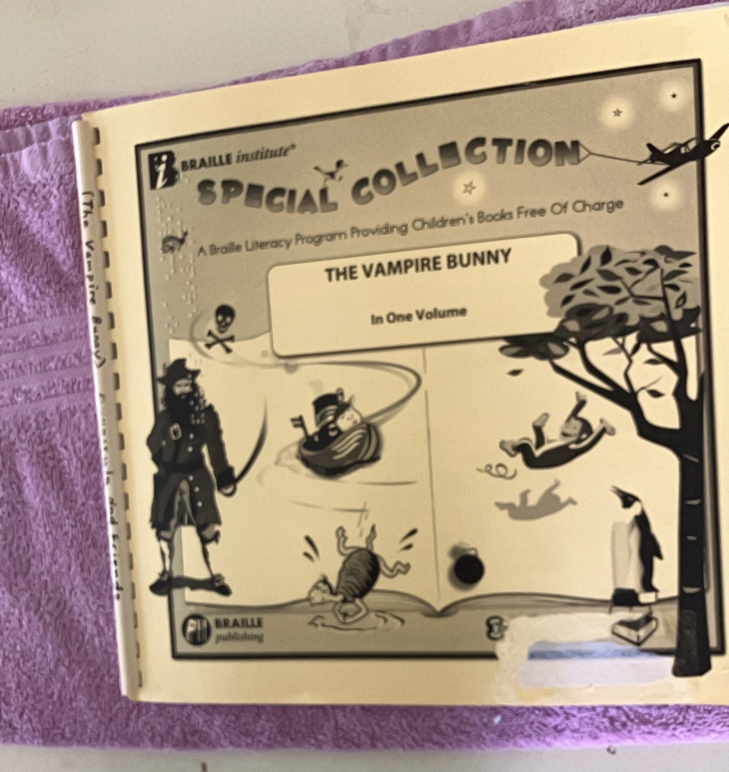 Braille Book: “The Vampire Bunny” Old braille format