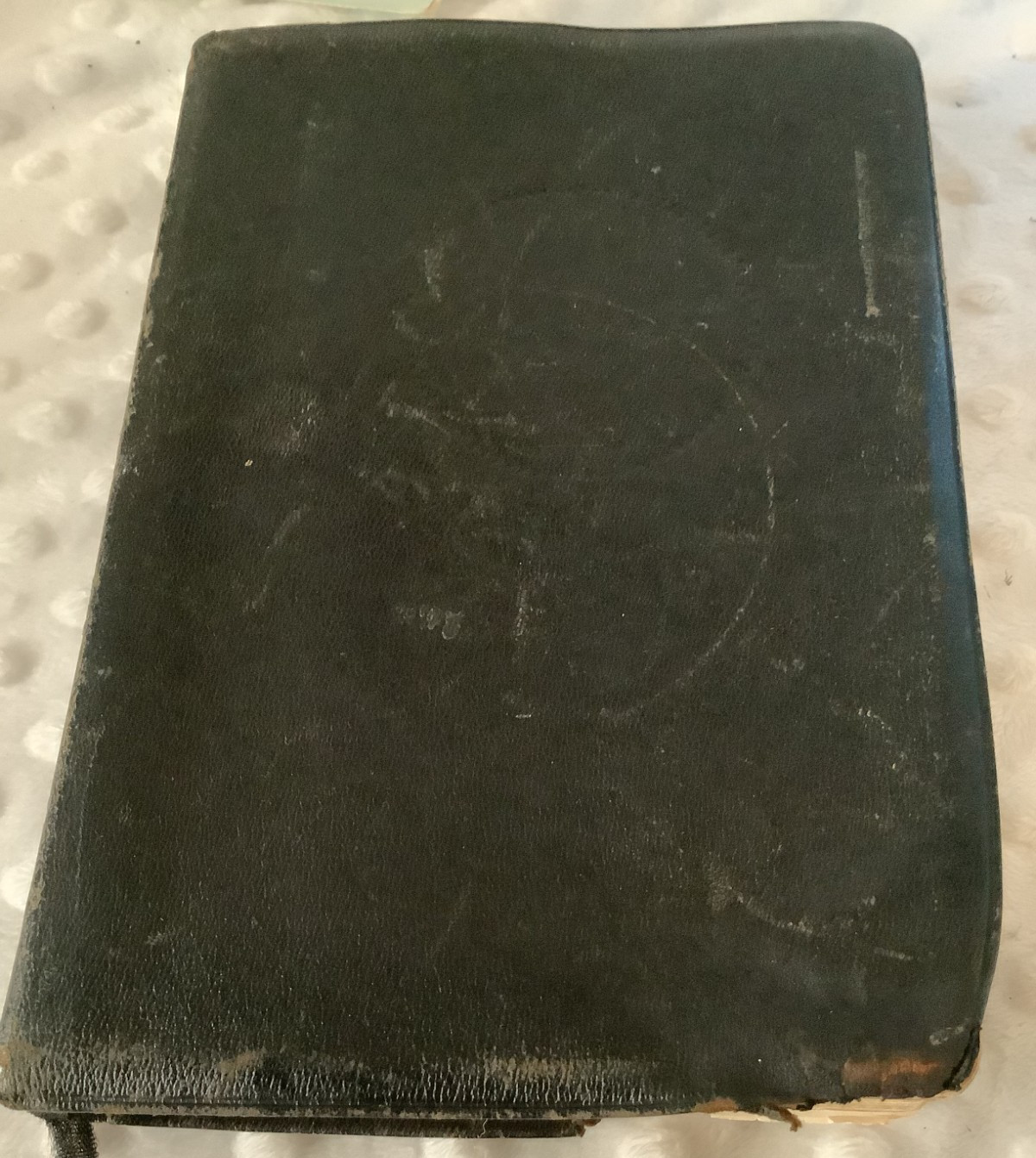 Jasper 16mo Pinseal Kangaroo leather-bound Oxford Bible