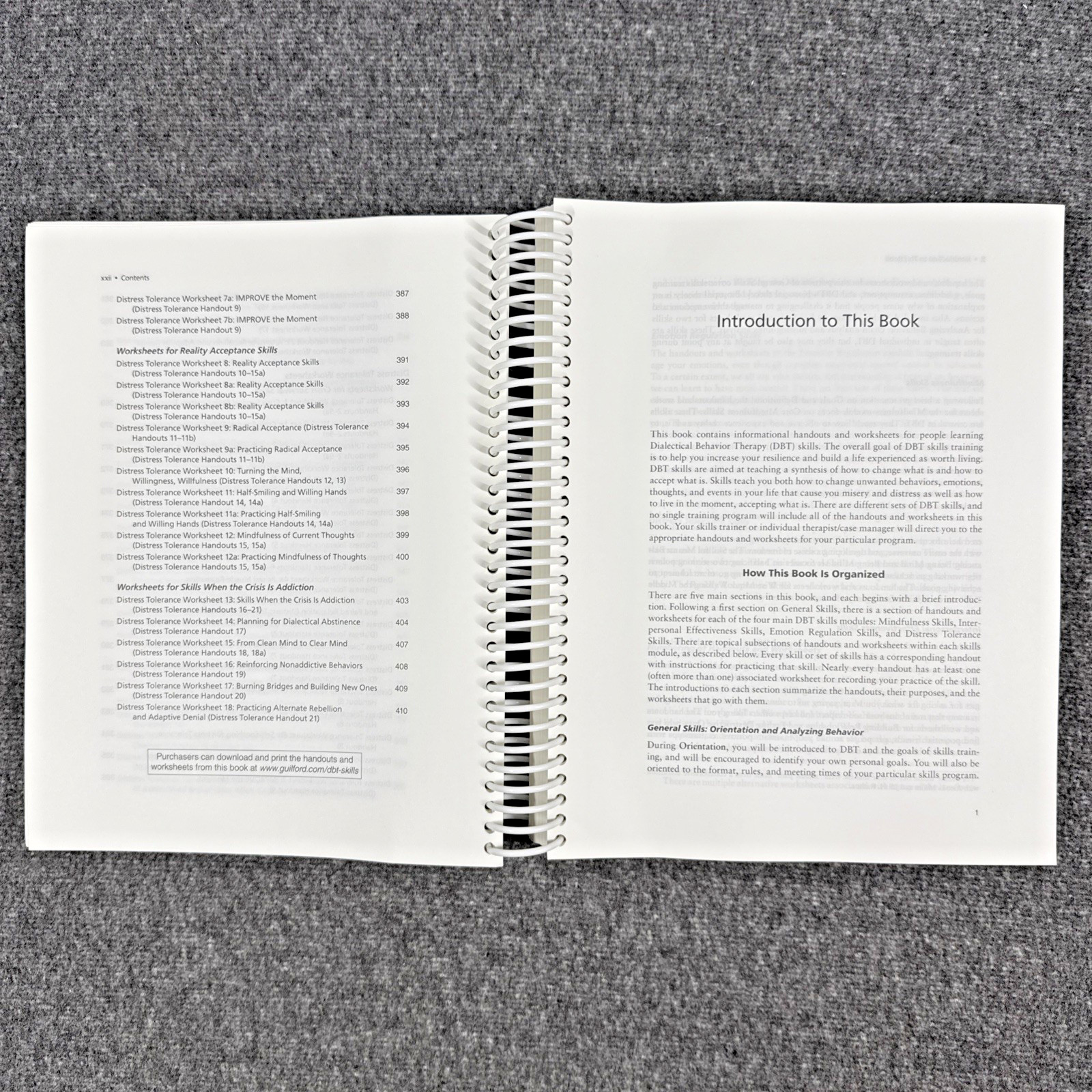 DBT Skills Training Handouts and Worksheets by Marsha M. Linehan, Like New