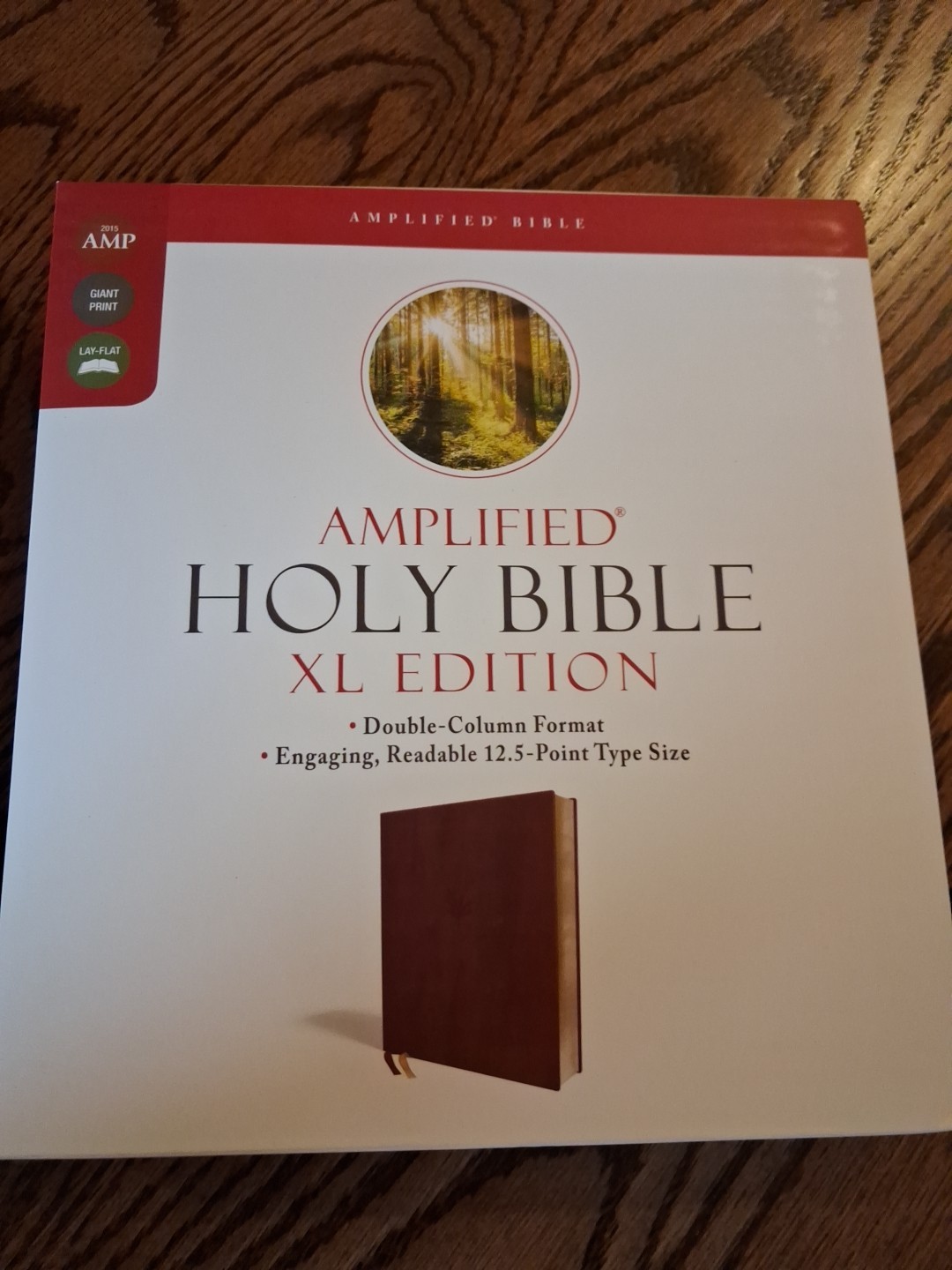 Amplified Bible XL Edition ~Retail $52.99~ Burgundy Leathersoft LARGE PRINT 12.5