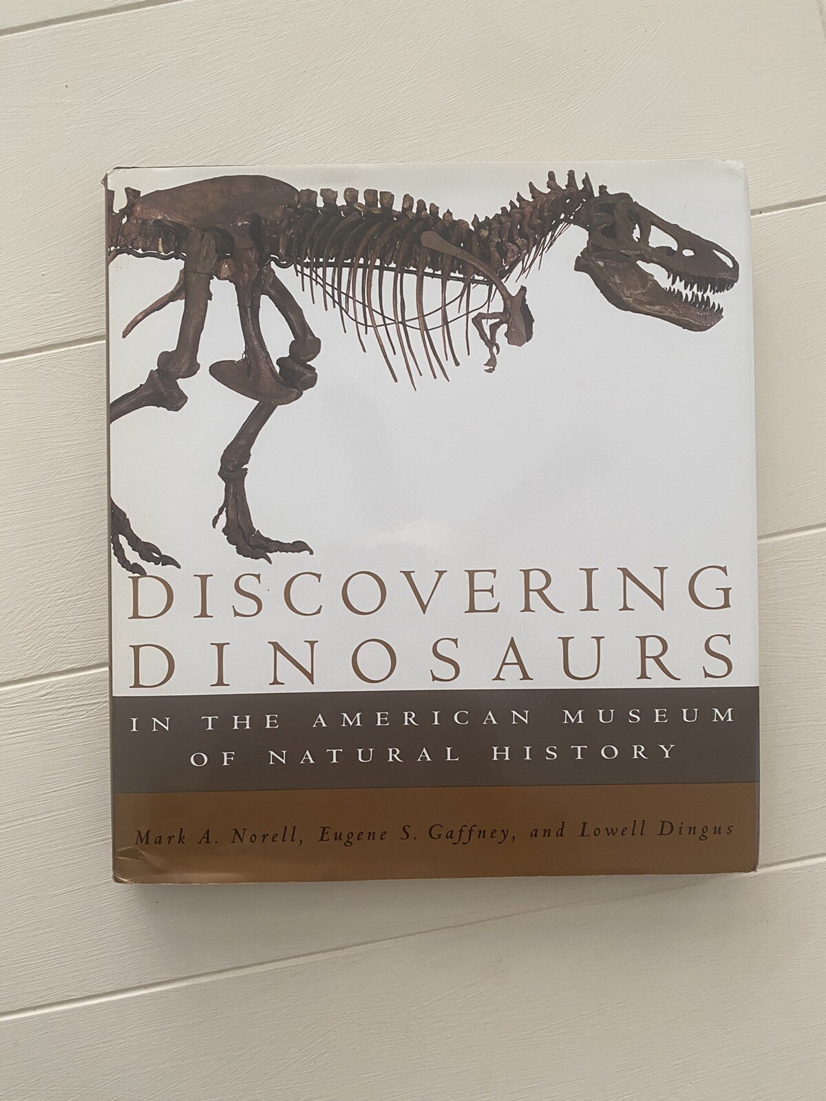 Discovering Dinosaurs: In the American Museum of Natural History – GOOD