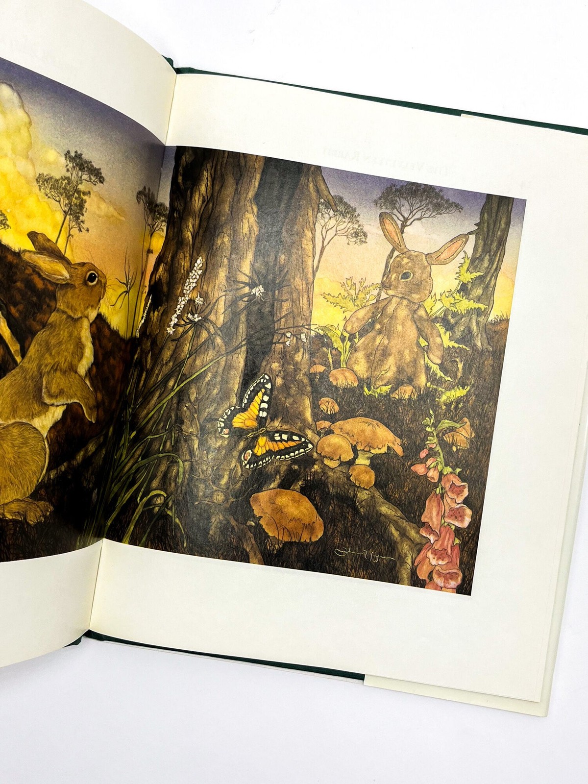 Michael Hague, Margery Williams Bianco / VELVETEEN RABBIT Signed 1983