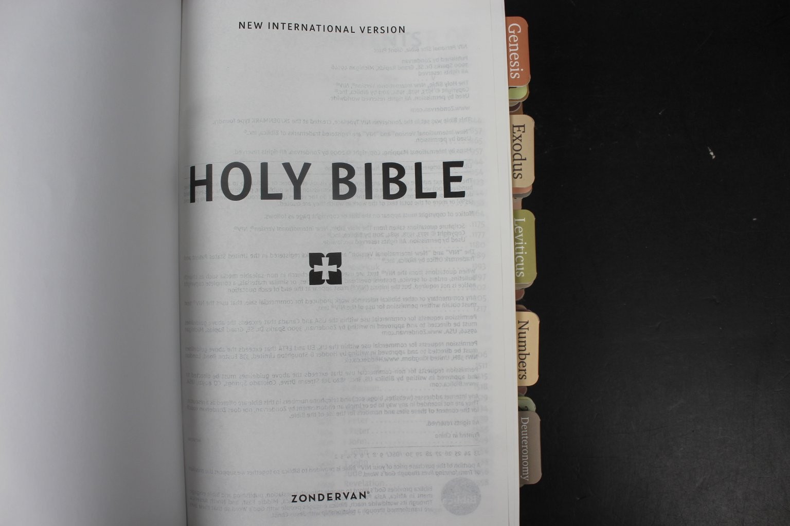 Holy Bible NIV Giant Print Thumb Index Brown Faux Leather Zondervan