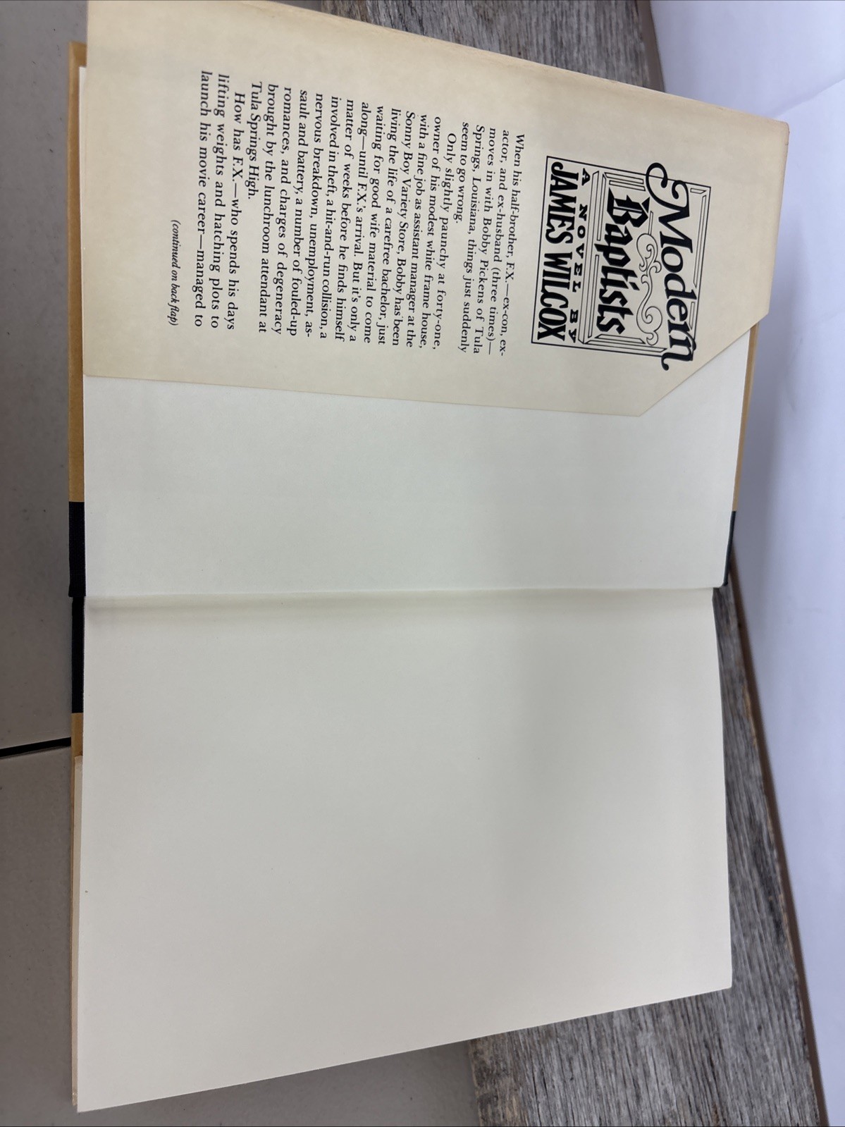 Modern Baptists by James Wilcox Dial Press First Printing 1983 Vintage Hardcover