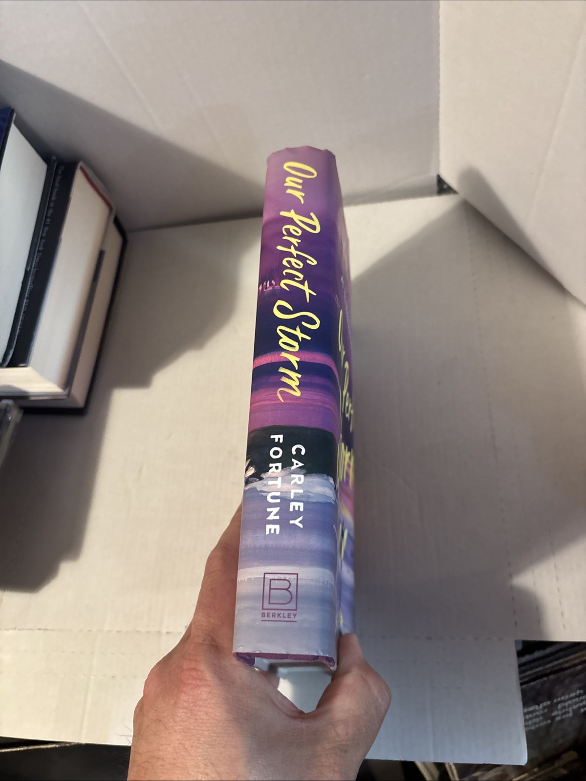 Our Perfect Storm by Carley Fortune (2026, Hardcover)