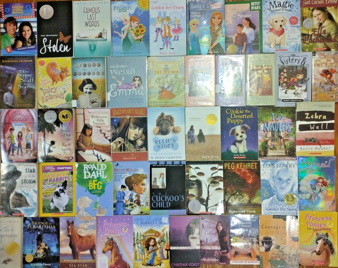 RANDOM Lot of 100 4th Grade AR Chapter Books RL Level 4.0-4.9 Homeschool Teacher