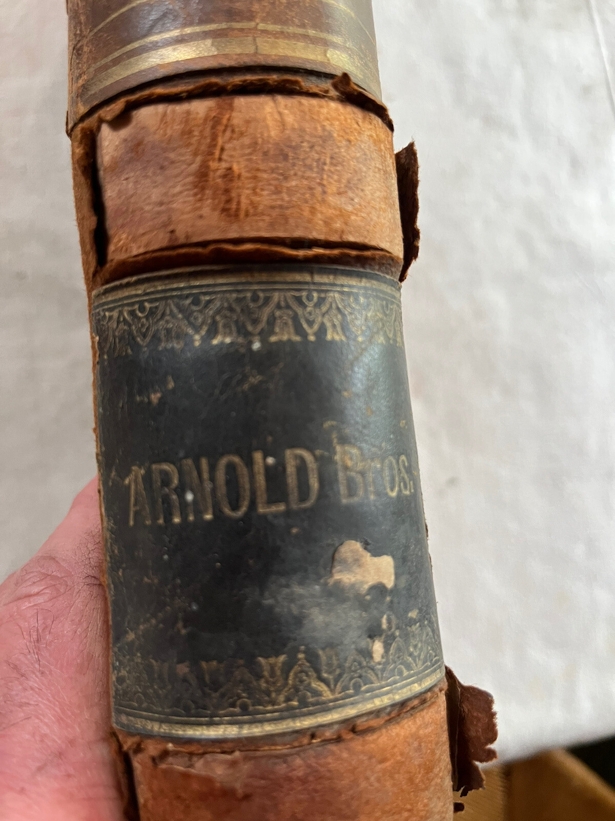 1876 Arnold Bros. Dry Goods 480 Full Pages Ledger Wartrace TN History Geneology