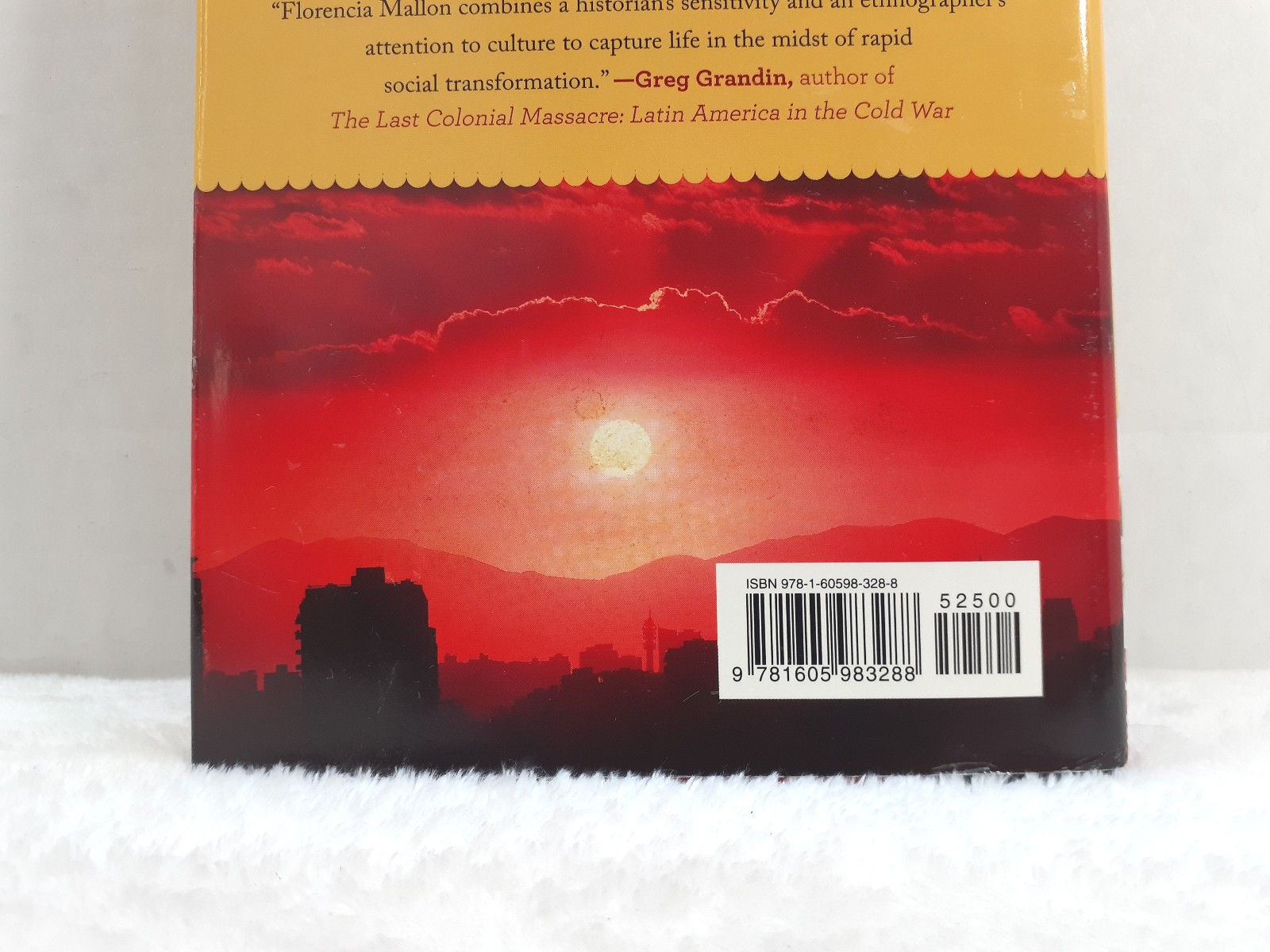 Beyond the Ties of Blood Book HC by Florencia Mallon Dust Jacket Signed