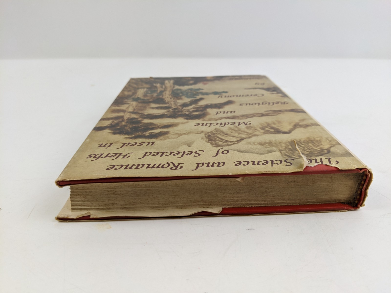 Natural Healing With Tibb Medicine: Medicine of the Prophet Muhammad Al-Akili