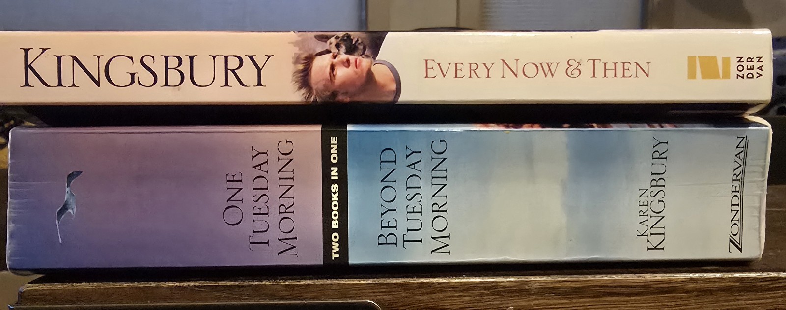 Karen Kingsbury Lot Of 29 Six Complete Series Plus 4 Stand Alone And 4 Extras
