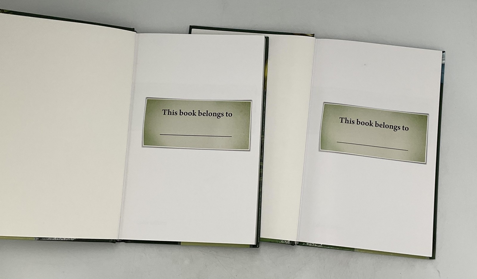 All About Reading Level 2 Teacher’s Manual Marie Rippel LaTulippe set
