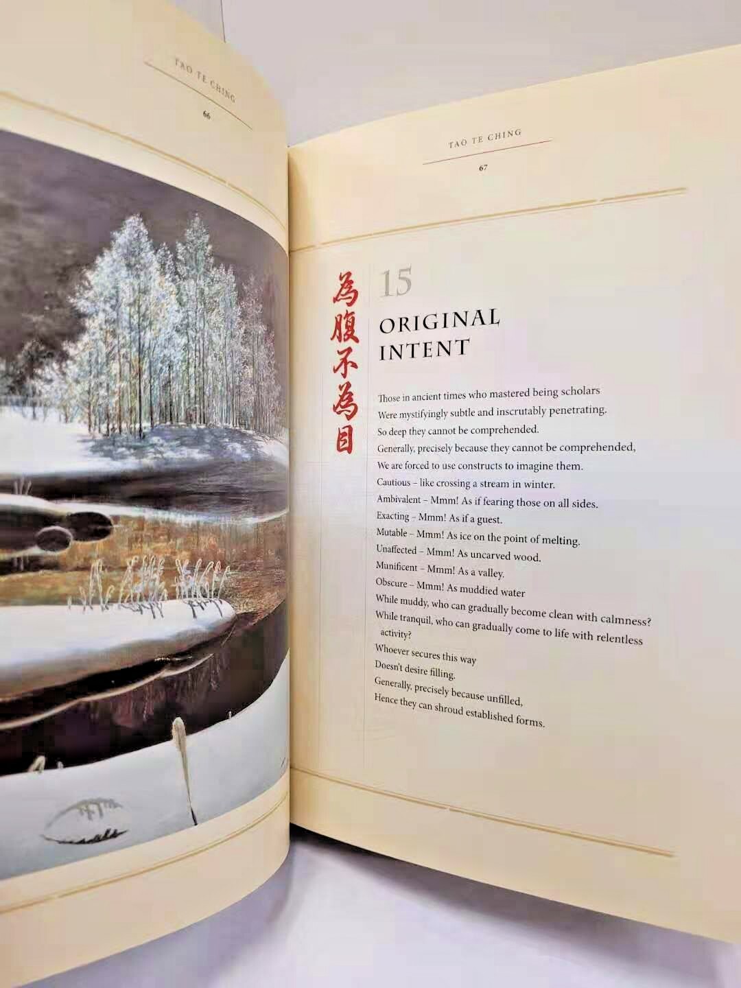 TAO TE CHING by LAOZI Deluxe Silk Bound Hardcover Illustrated Edition Brand NEW