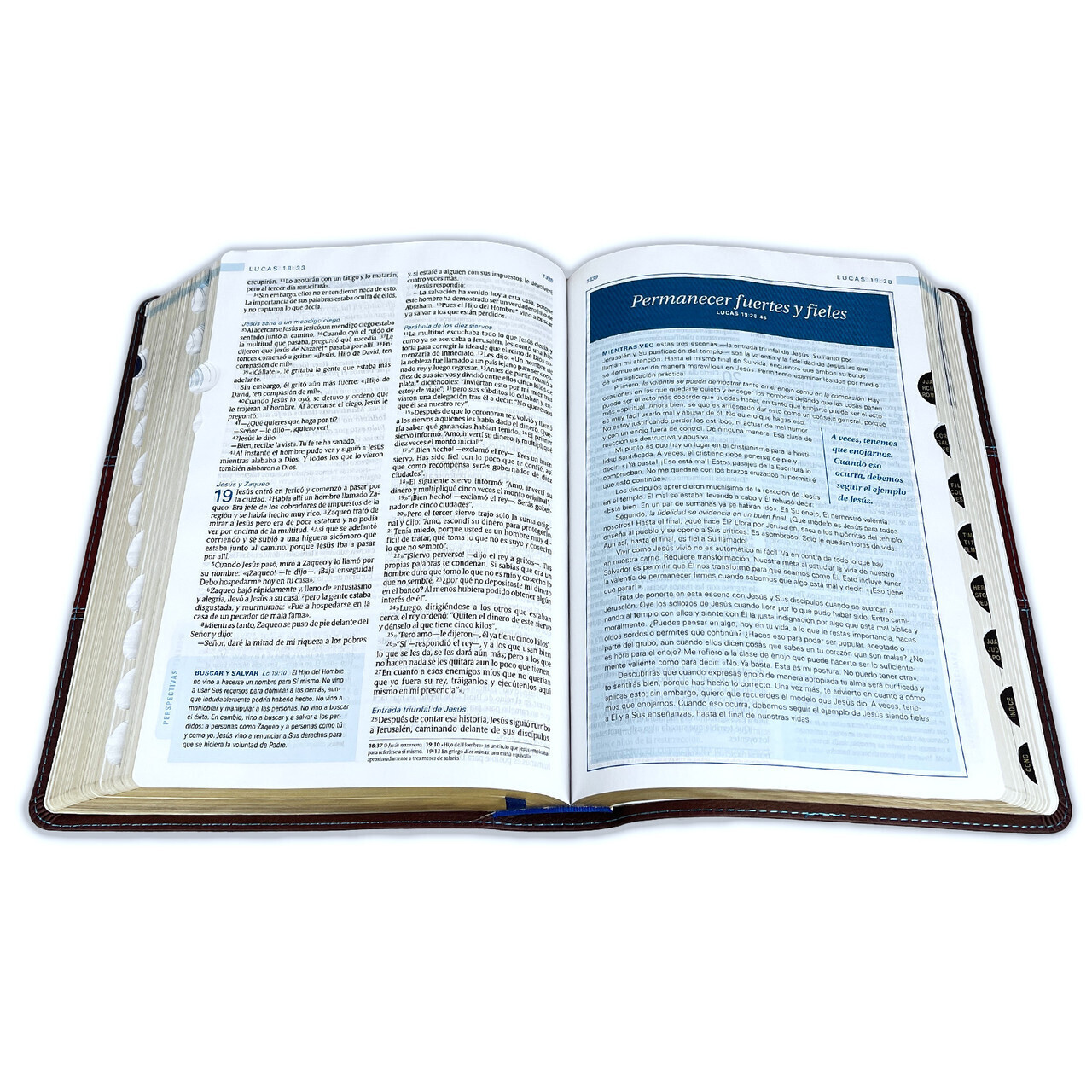 Biblia de Estudio Swindoll NTV: imit. piel duotono café con indice