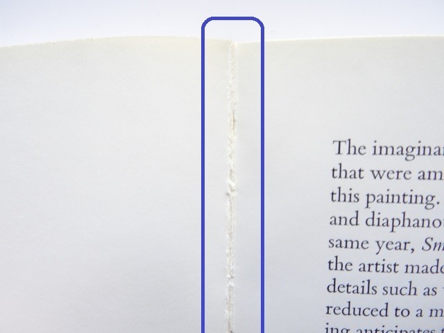 Guggenheim Museum Photo Collection 1900-1970 Art Book Softcover 440 Pages From