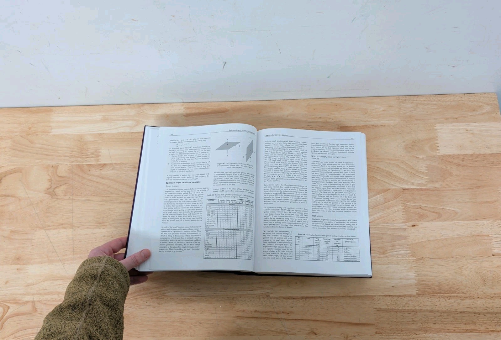Ignition Handbook: Principles and Applications to Fire Safety Engineering…