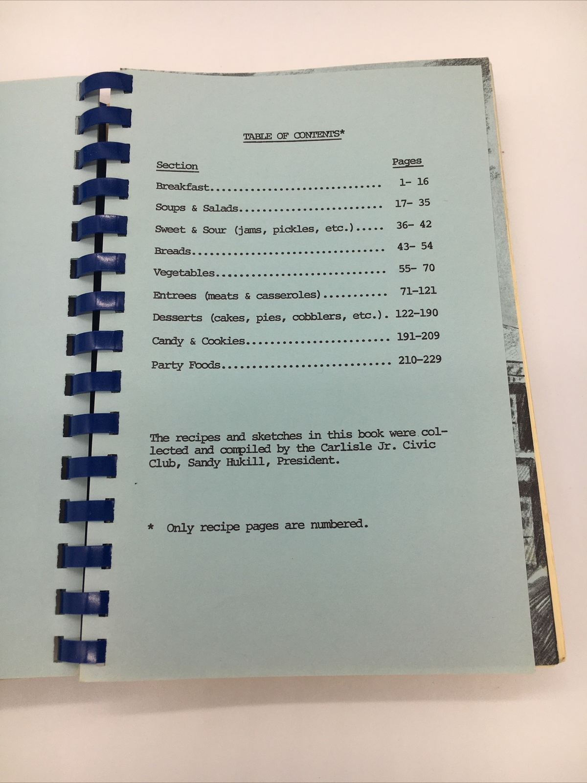 Carlisle Heritage ‘76 Cookbook A Bicentennial Collection 228 Pages Rare PA