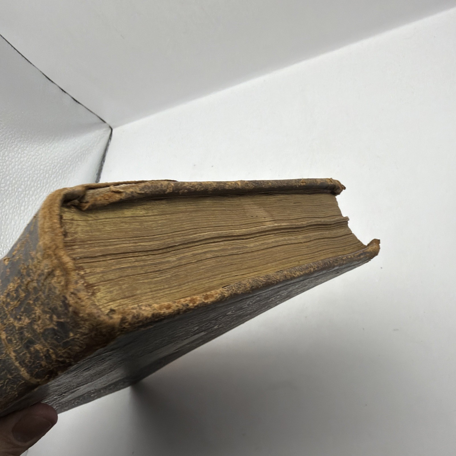 1878 New Testament & Book of Psalms American Bible Society