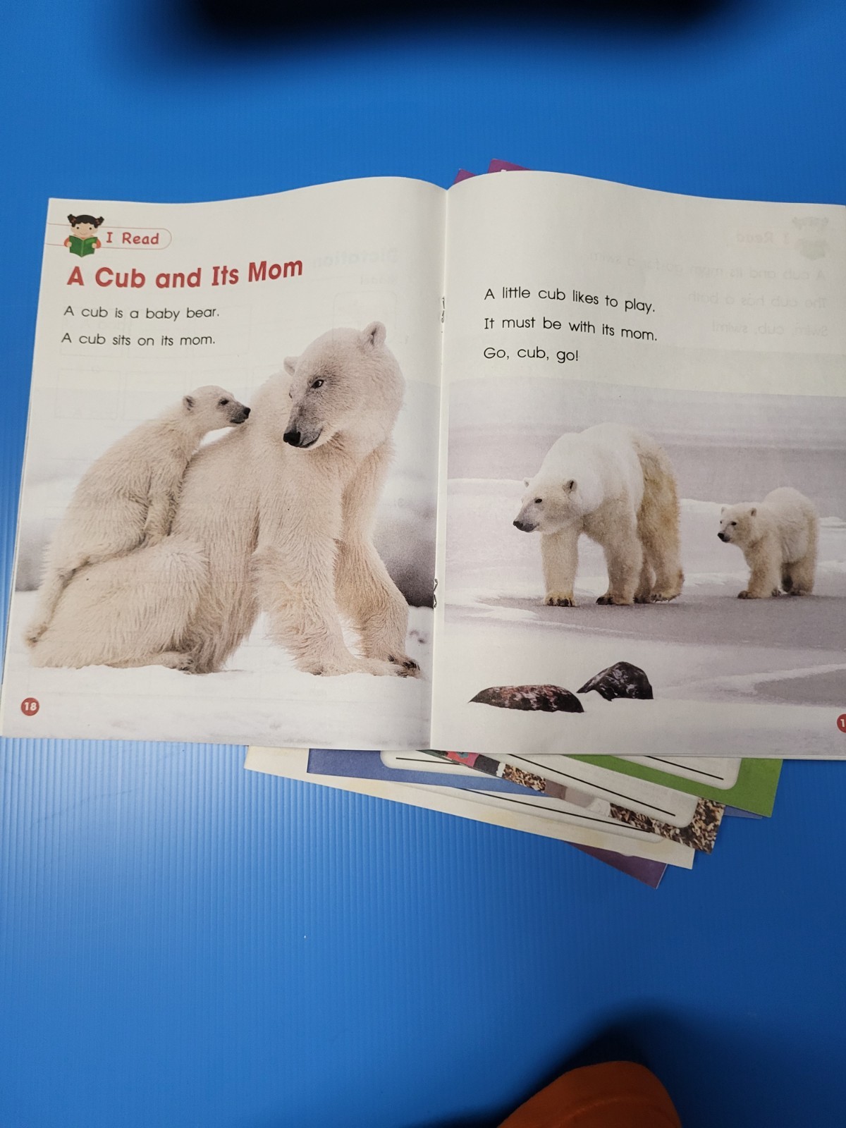 My Reading And Writing Grade 1 Units 1-10 Complete Set Benchmark Education New