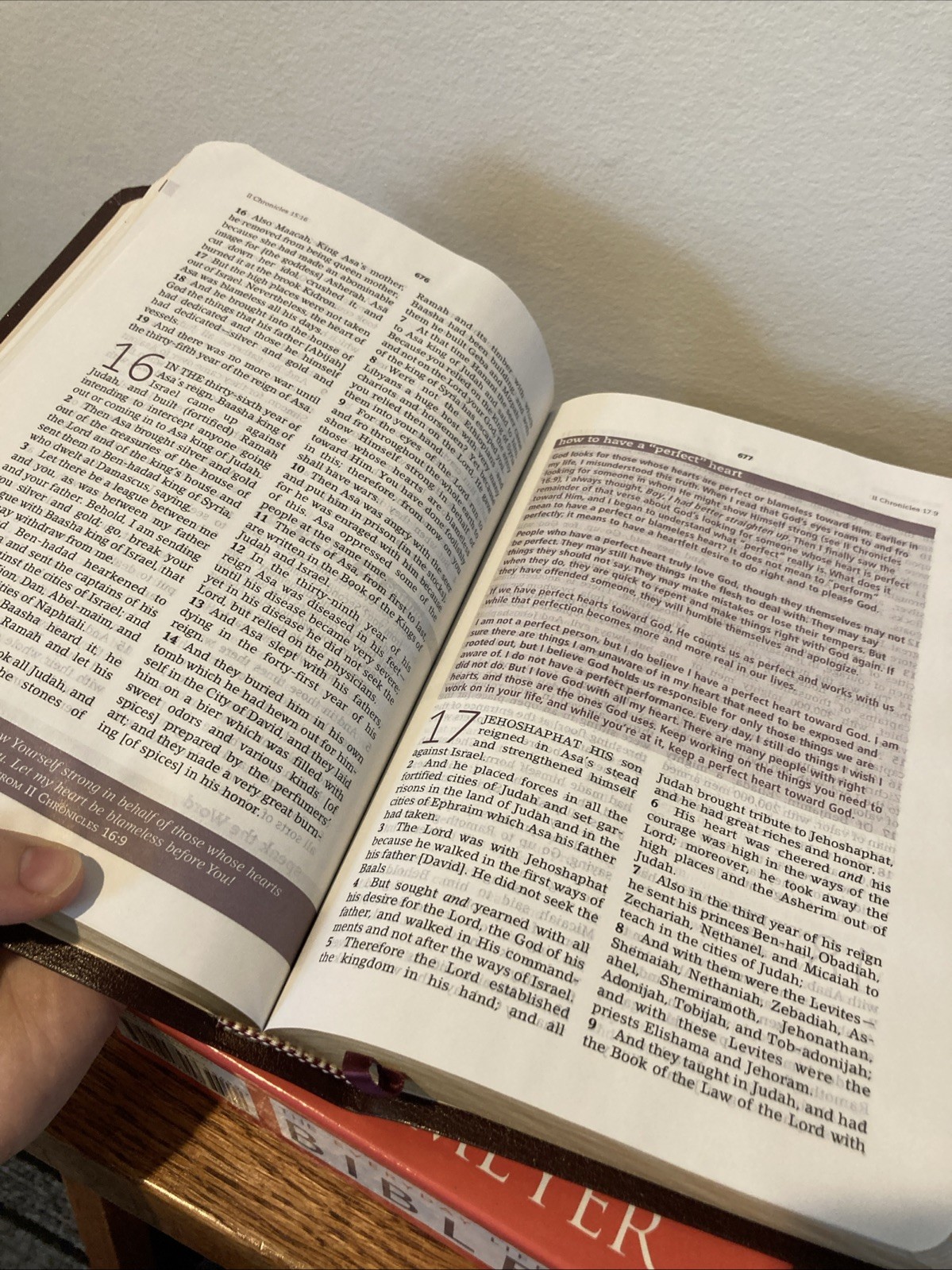 Amplified Classic 1987 AMPC Bible | Large Font, 12 point | New Life Joyce Meyer