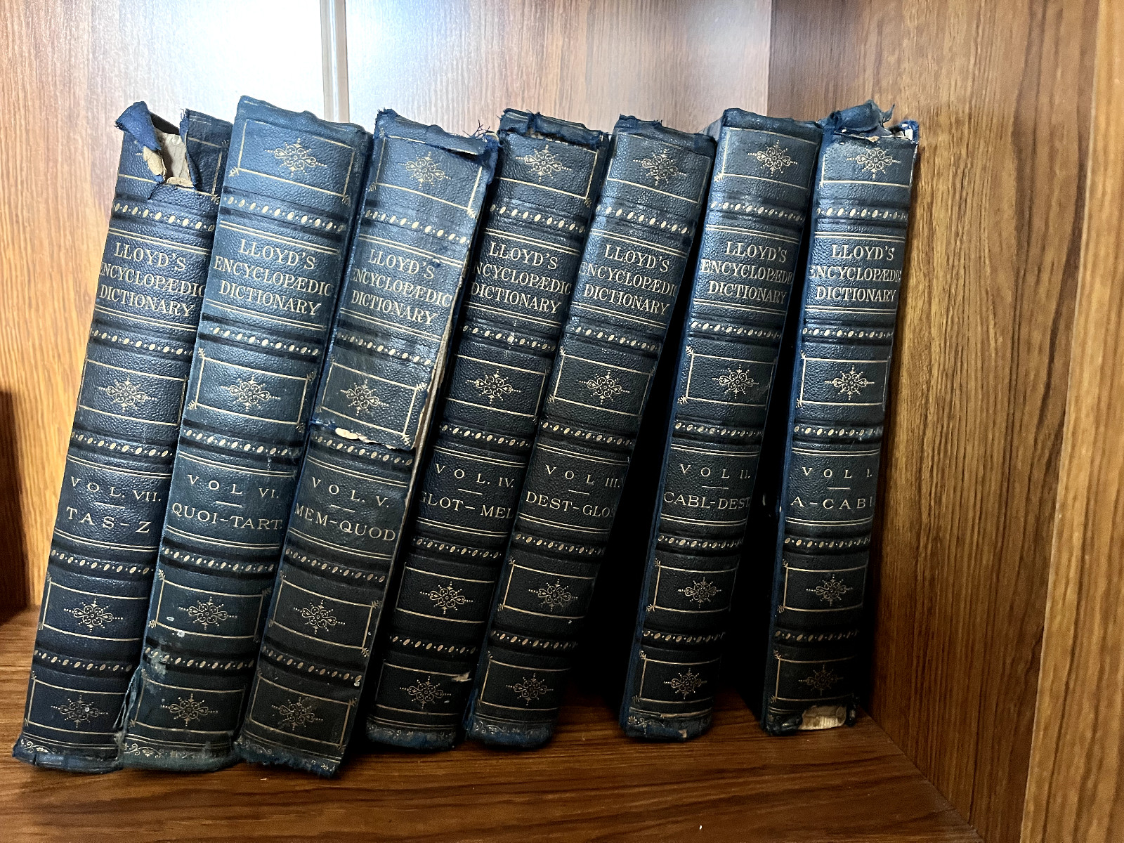 Lloyds encyclopaedic dictionary 1895 – 7 volumes (26cm x 18.5cm approx)