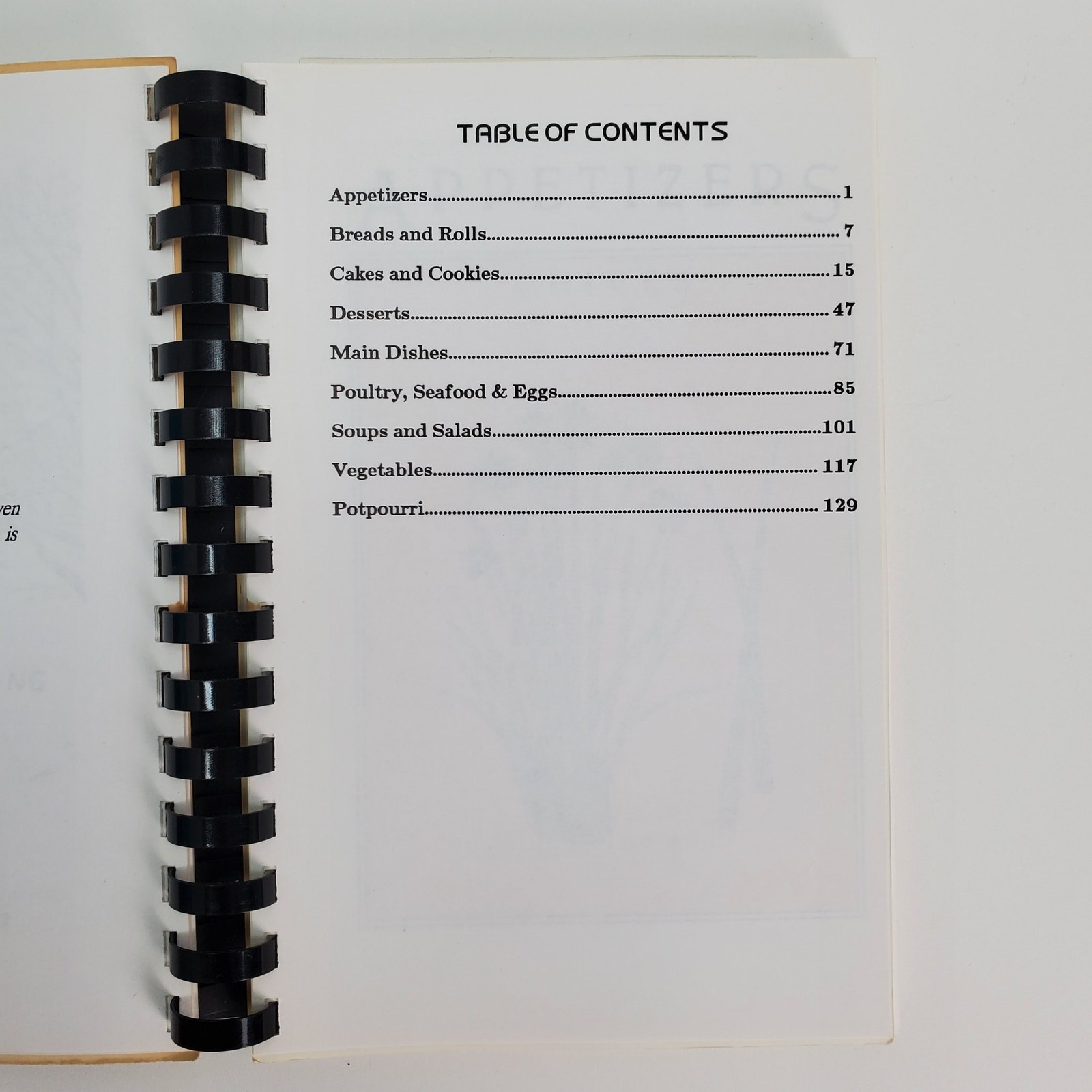 Seasoned With Love Christ the King Lutheran Church Vestal NY Cookbook 144 Pages