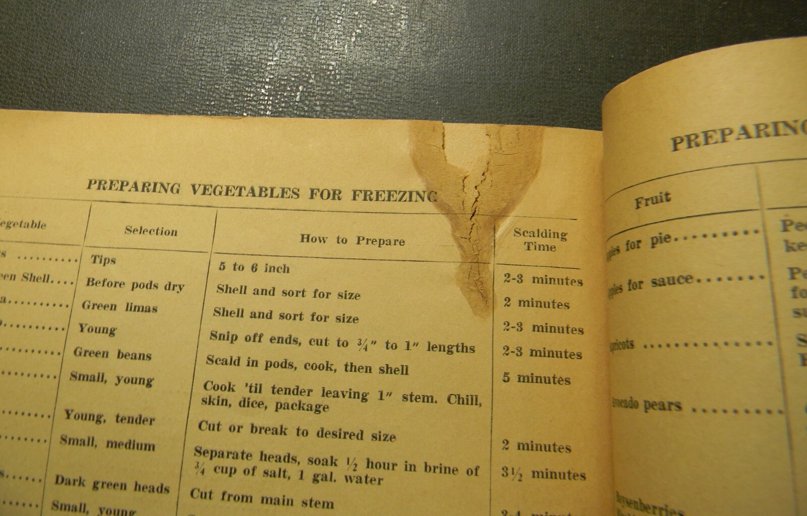 1952 Canfield Oil Co. Book of Household Hints 47 pages Chicago area